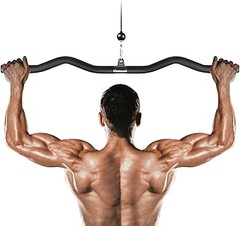 Mejores Alternativas a las Barras de Dorsal para Polea