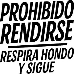 Guía para seleccionar el vinilo o póster motivacional adecuado