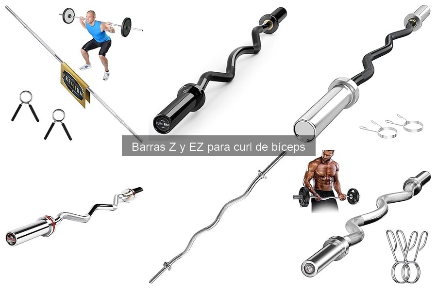 Beneficios de la barra Z: ¿Qué es y por qué usarla?