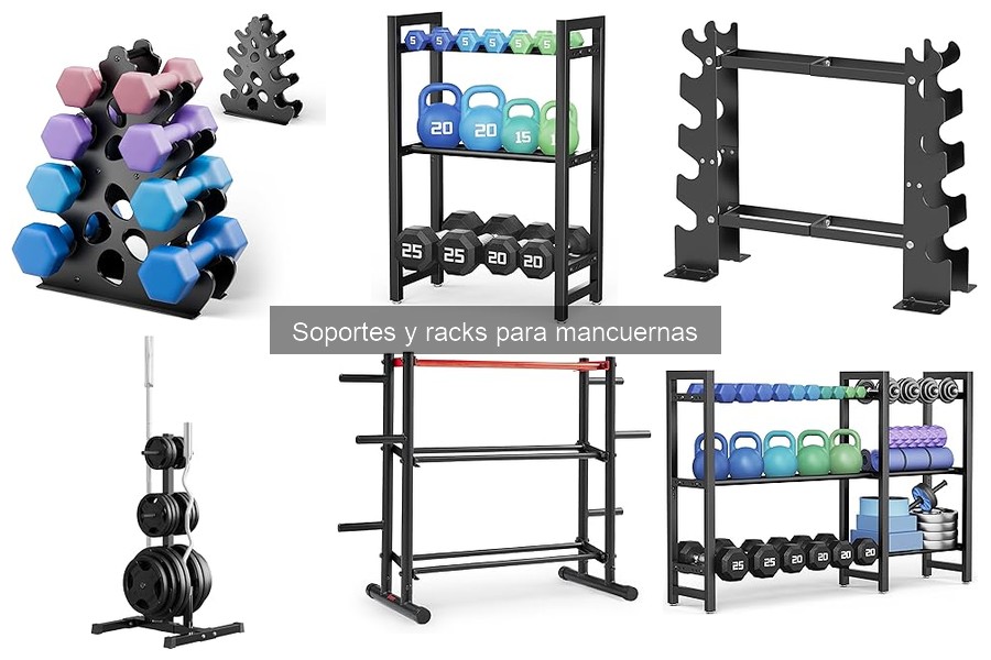 Cómo elegir el mejor soporte para mancuernas según tu espacio