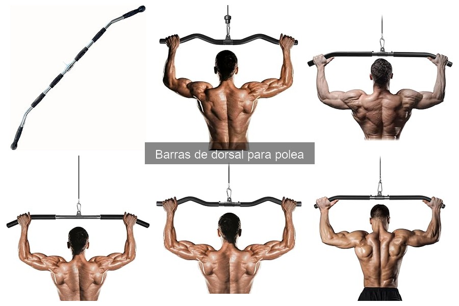 Cómo elegir la barra de dorsal para polea adecuada