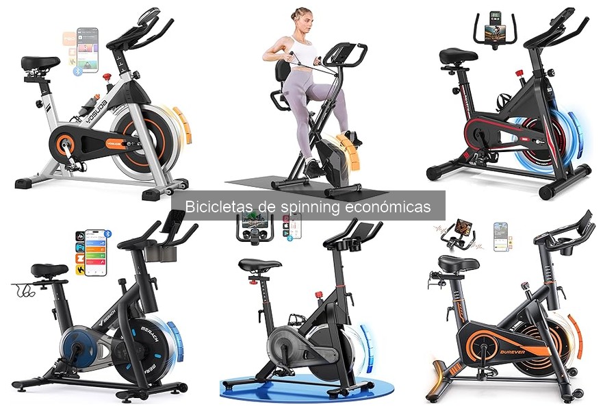 Comparativa: Bicicletas de Spinning Económicas vs. Gama Alta