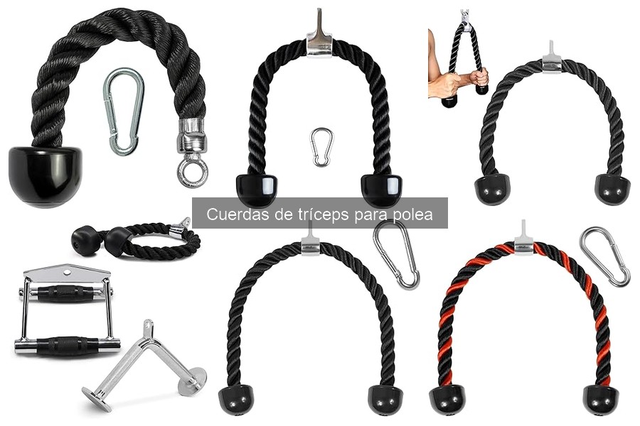 Comparativa de cuerdas de tríceps: marcas y precios