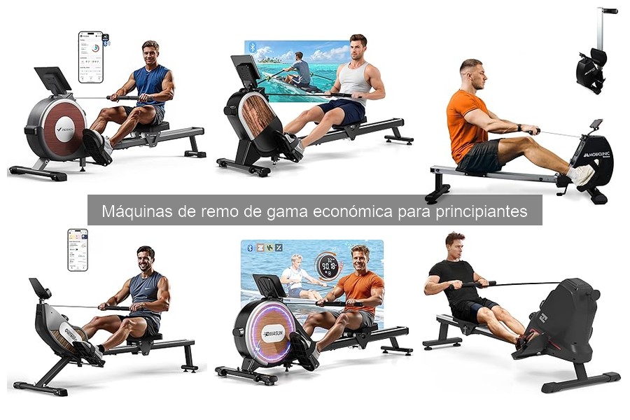 Comparativa: Máquinas de Remo Económicas vs. Gama Alta