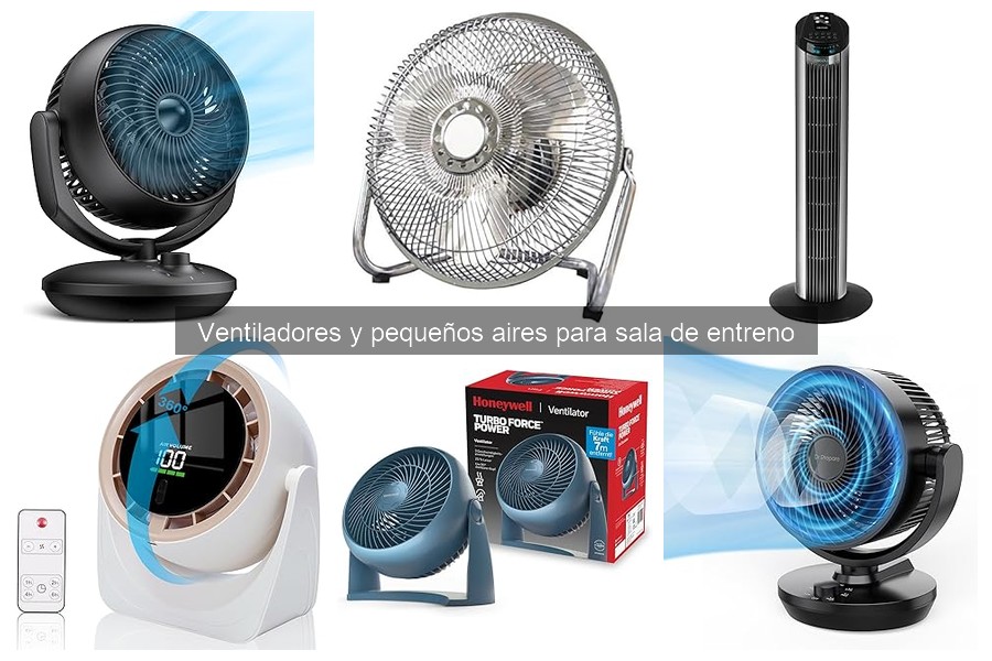 ¿Cuánto gastar en un ventilador para entrenar en casa?