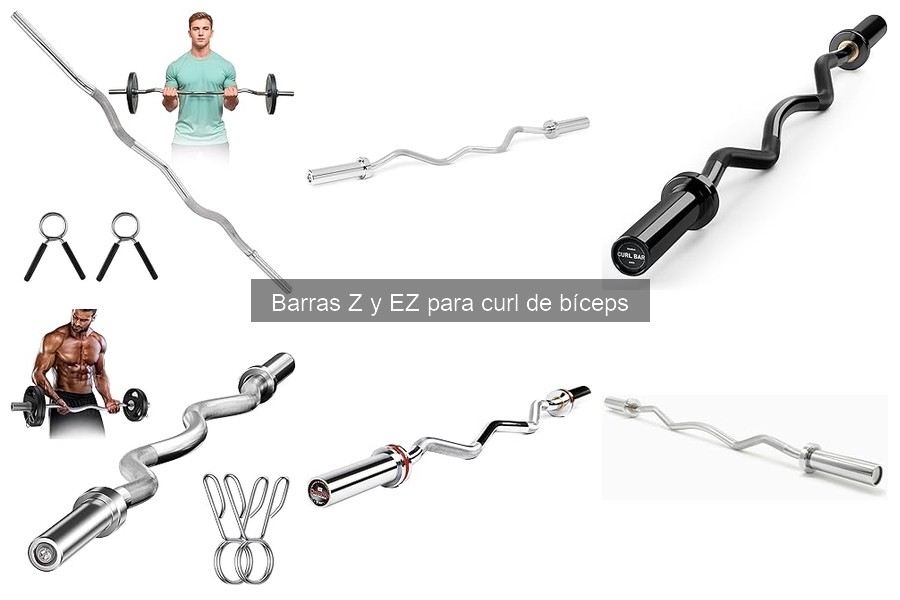 Diferencias entre Barras Z y EZ: ¿Cuál elegir para tus bíceps?