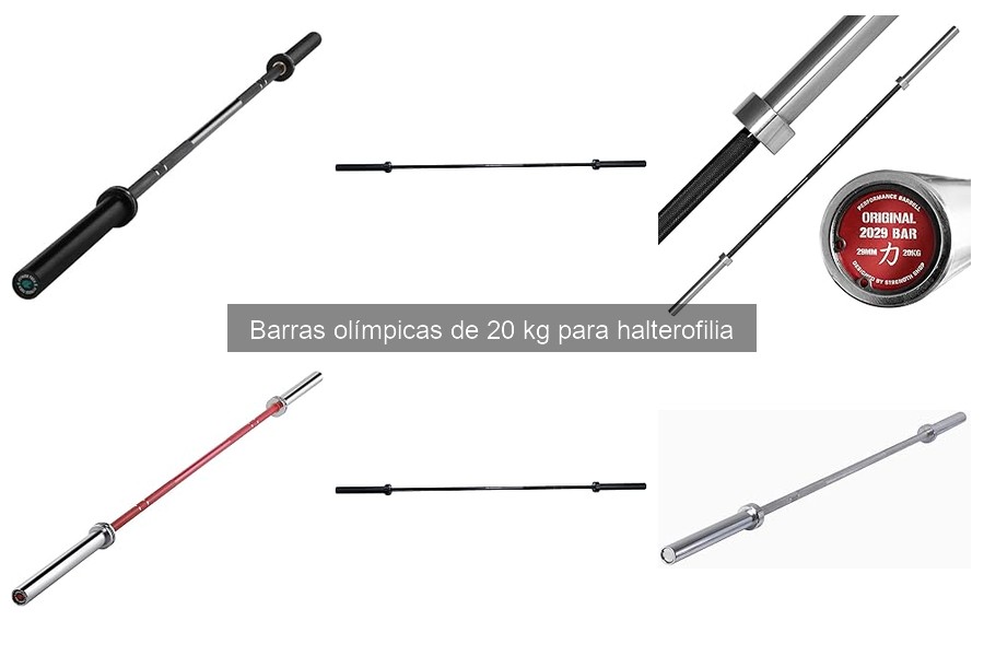Dónde comprar una barra olímpica de 20 kg: mejores opciones