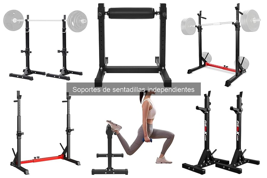 Guía para elegir el soporte de sentadillas independiente adecuado