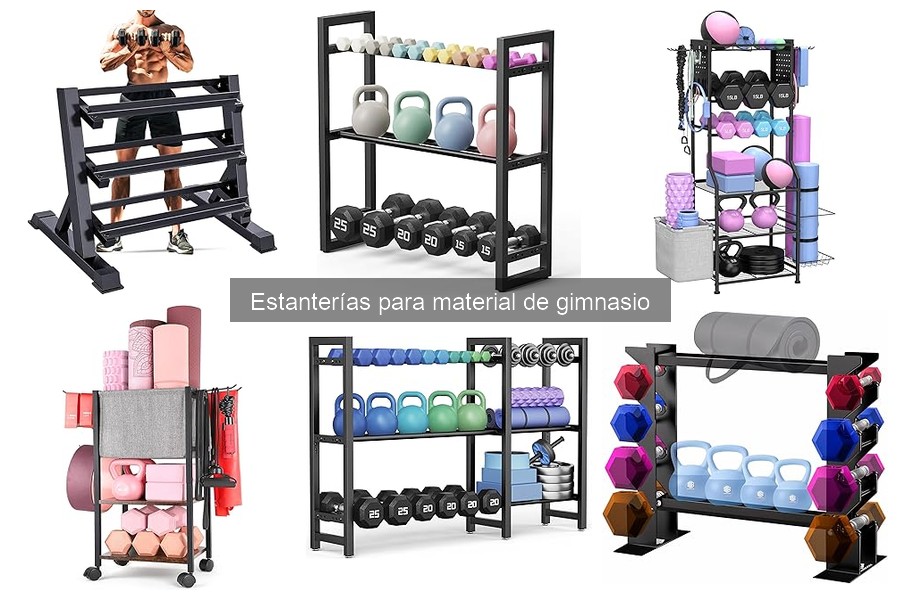 Guía para elegir la mejor estantería para tu gimnasio en casa
