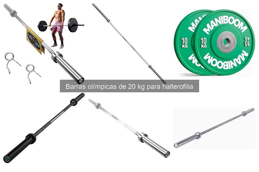 Precios Promedio de Barras Olímpicas de 20 kg para Halterofilia