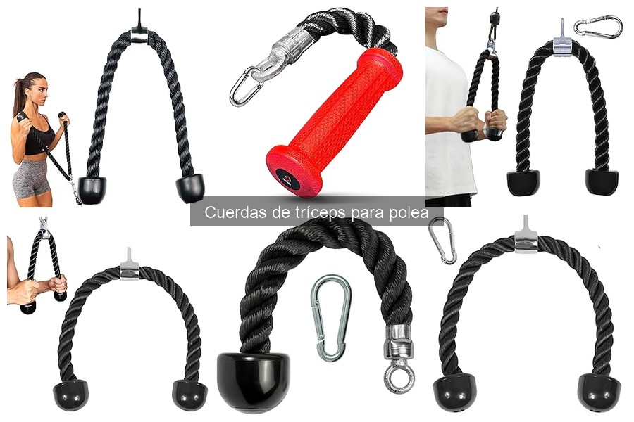 Tipos de cuerdas de tríceps para polea: guía completa