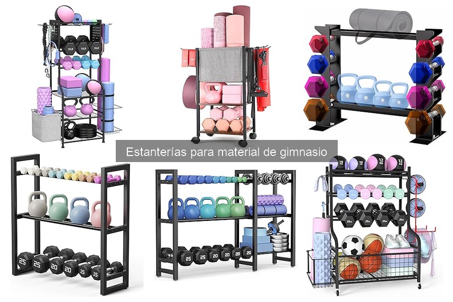 Tipos de estanterías para almacenar material de gimnasio