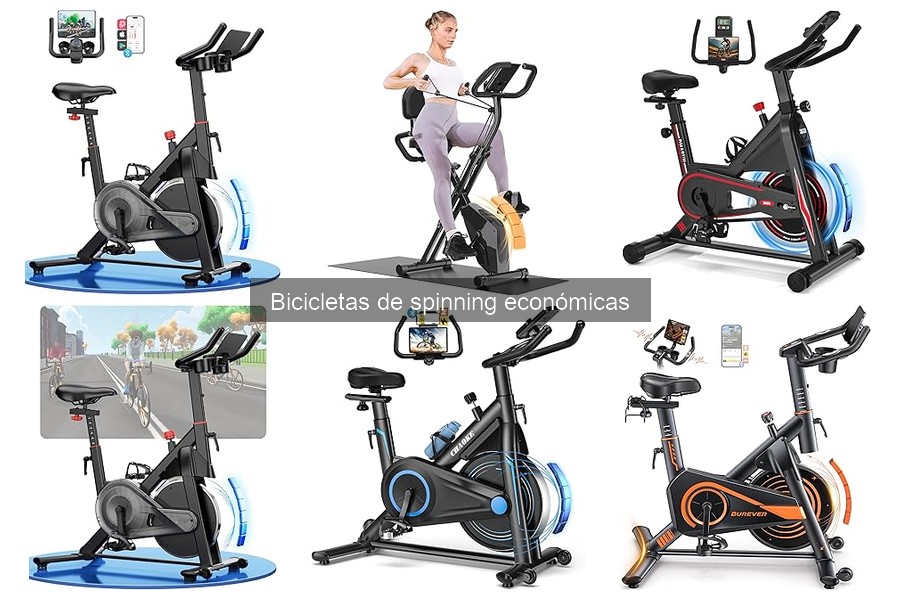 Usuarios ideales para bicicletas de spinning económicas