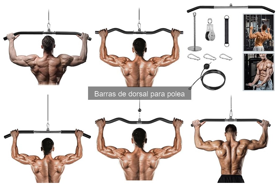 Ventajas y desventajas de las barras de dorsal para polea