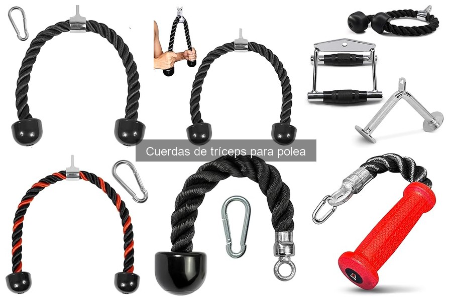 Ventajas y desventajas de las cuerdas de tríceps para polea